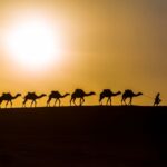 3 days desert tour from Errachidia to Fes - Desert Exploration Trips