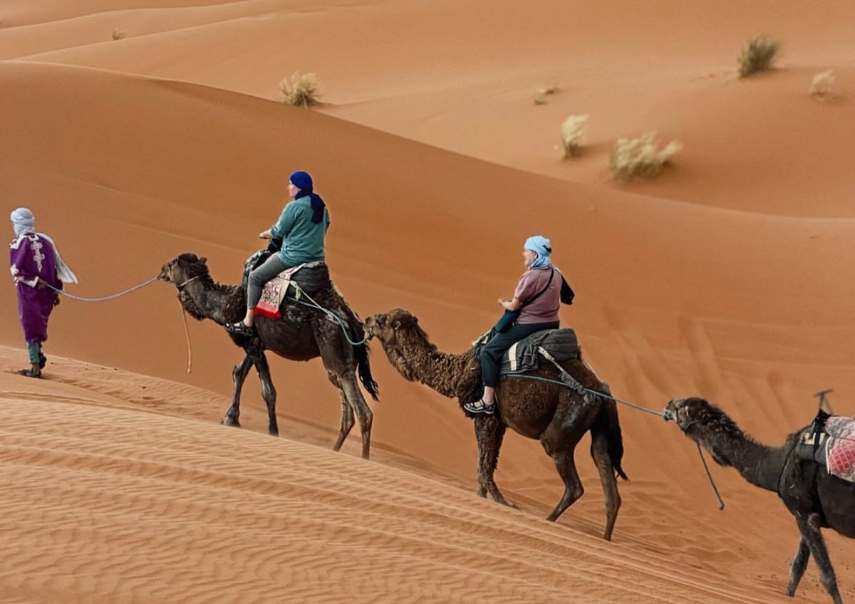 Desert Exploration Trips 10 Day Tour