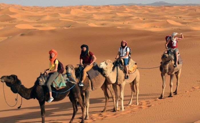Desert Exploration Trips 5 Day Tour