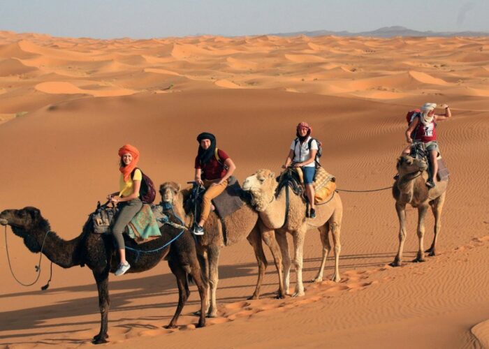 Desert Exploration Trips 5 Day Tour