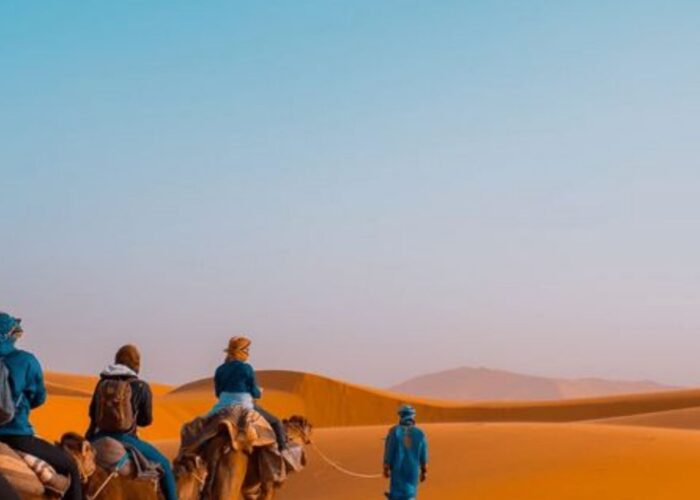 Desert Exploration Trips 7 Day Tour