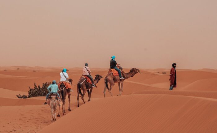 Desert Exploration Trips Day Trips