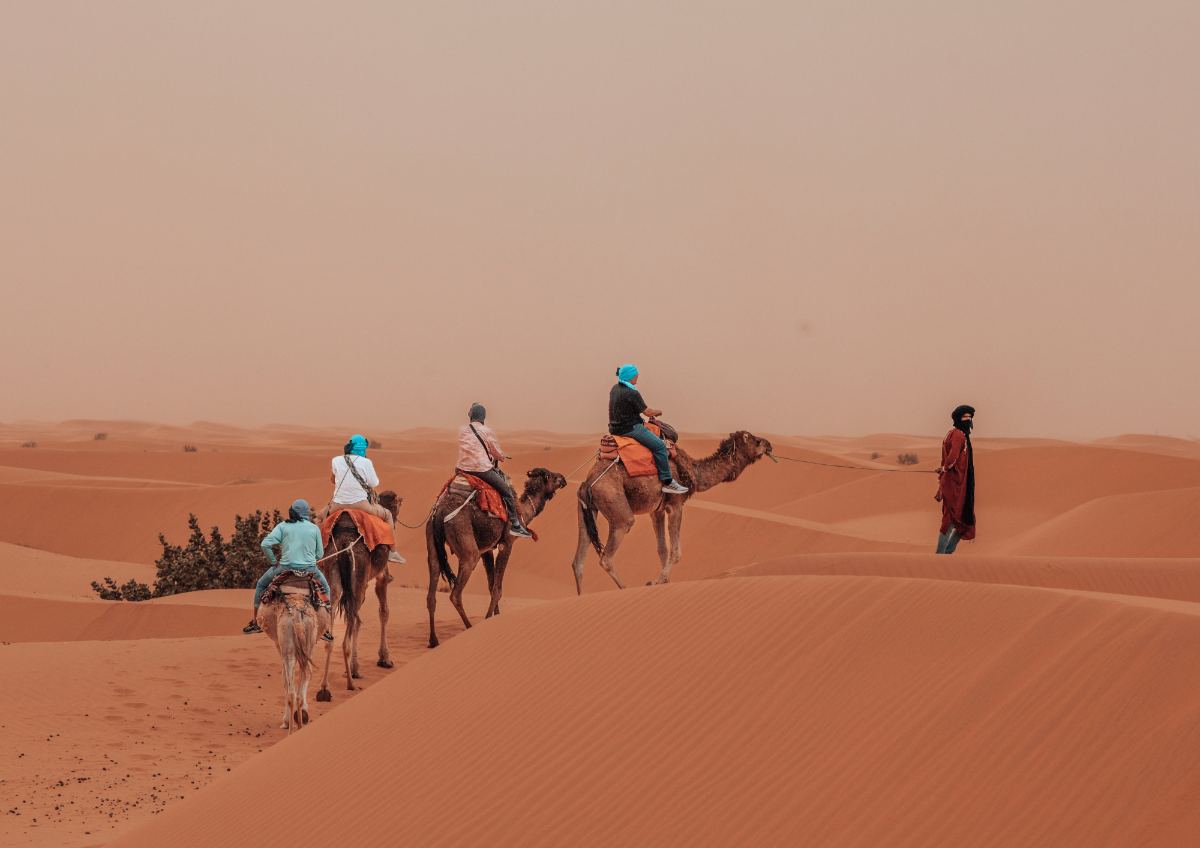 Desert Exploration Trips Day Trips