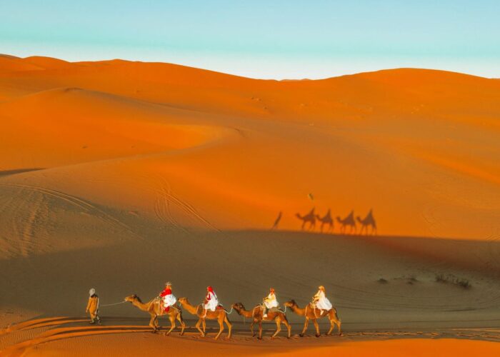Desert Exploration Trips Honeymoon Tours