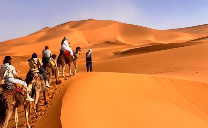 Desert Exploration Trips Multi Day Tours