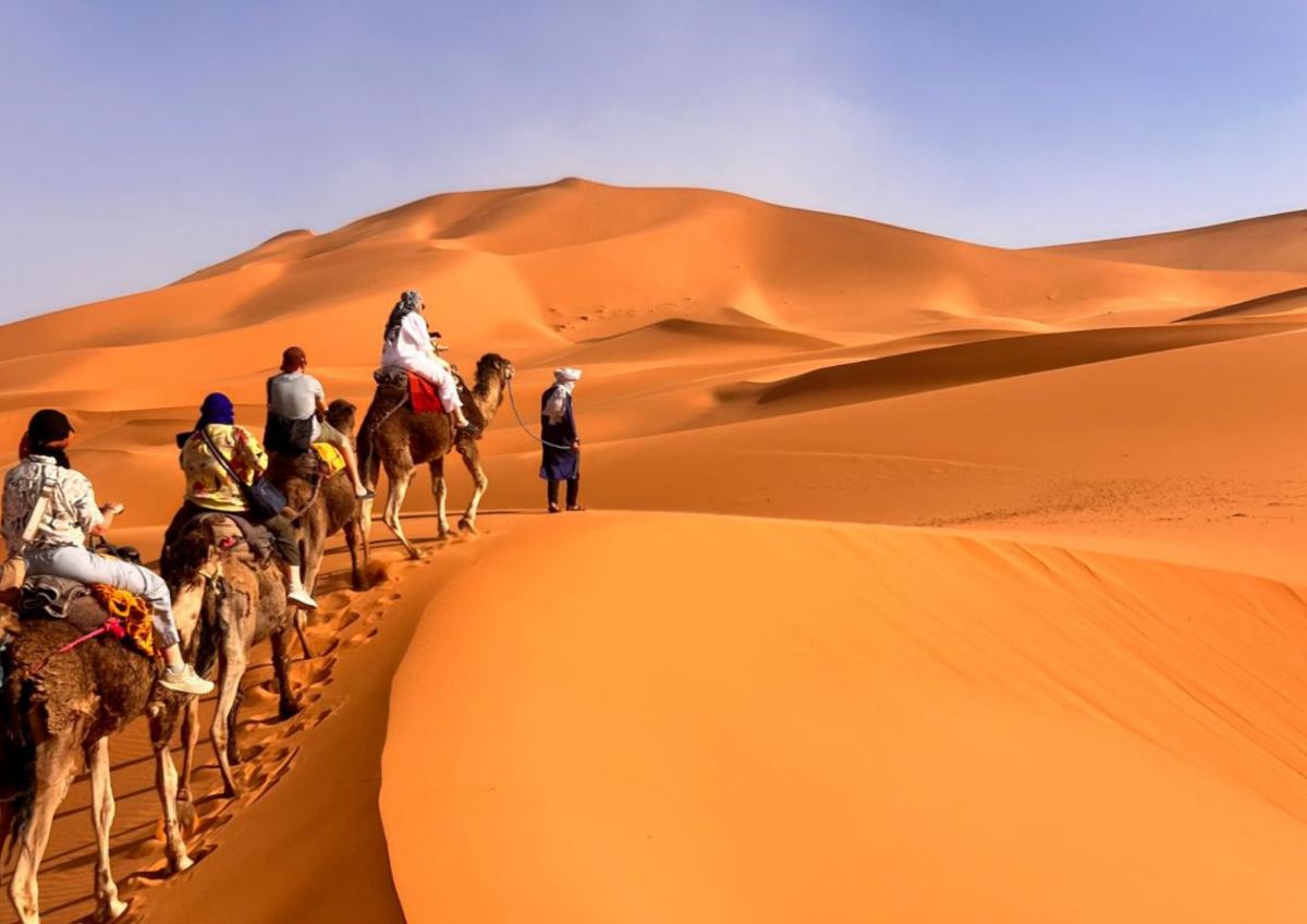 Desert Exploration Trips Multi Day Tours