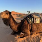 Desert Exploration Trips Nomad Experience