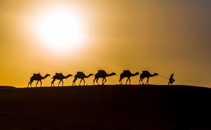 Desert Exploration Trips Sandboarding