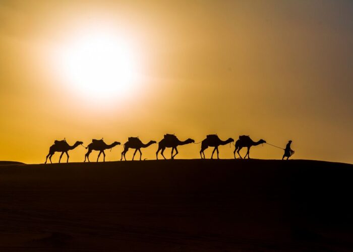 Desert Exploration Trips Sandboarding