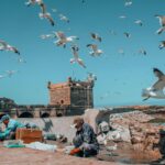 Excursion de un dia de Marrakech a Essaouira - Desert Exploration Trips