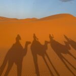 Gran tour de 13 dias por Marruecos desde Tanger - Desert Exploration Trips