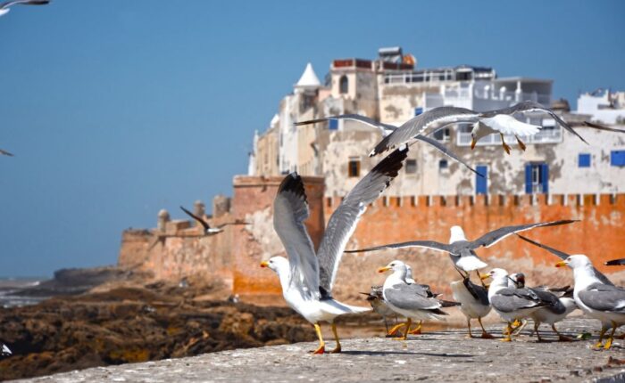 Morocco Adventure Holiday