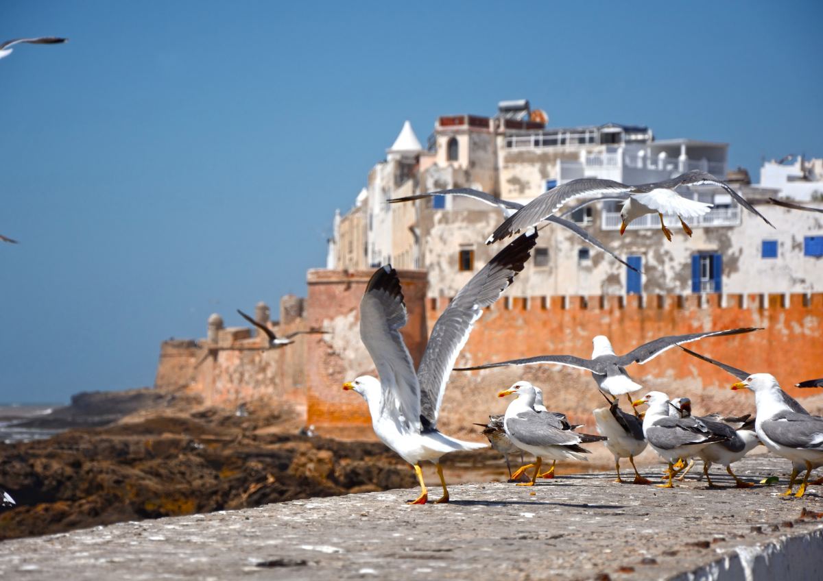Morocco Adventure Holiday