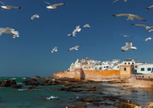 Morocco Luxury Escape