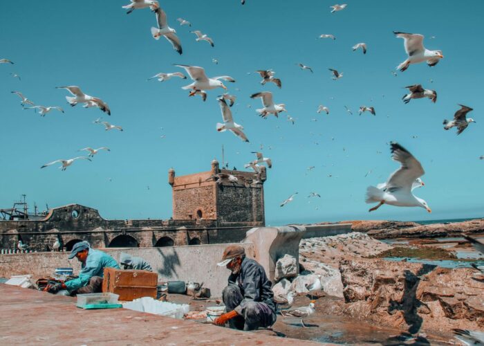 Morocco Weekend Tour