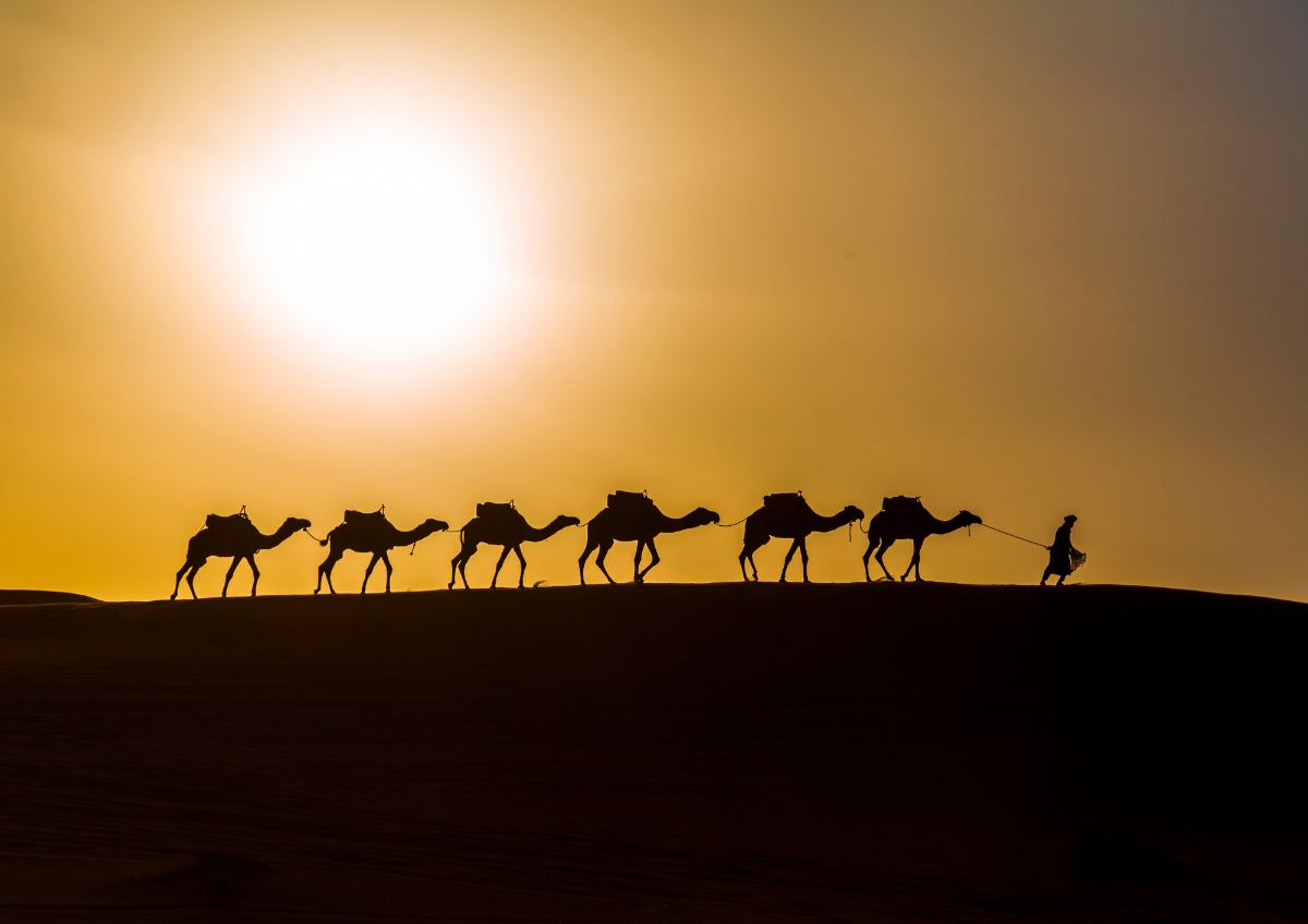 Tour de 2 dias por el desierto de Fez a Merzouga - Desert Exploration Trips
